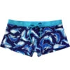 Wasserstoff: Pant Whales 46349