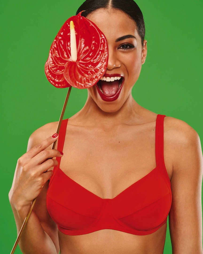 Anita: Sibel Bikini Top Venere 8730 3 Anita: Sibel Bikini Top Venere 8730