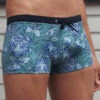 Wasserstoff: Pant Tiger -Beach Style Verkauf Tiger bearbeitet