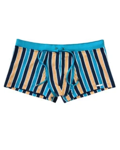 Wasserstoff: Pant Stripes Cianico 46359