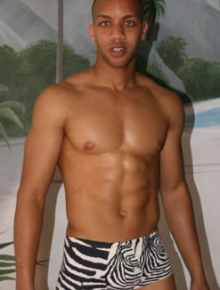 Wasserstoff: Minipant Zebra